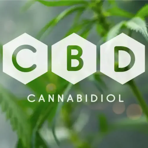 What is CBD Oil made from?